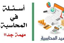 أسئلة في المحاسبة مصغرة