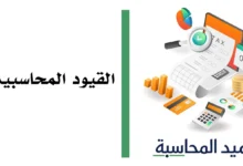 مصغرة القيود المحاسبية؟