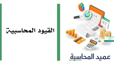 مصغرة القيود المحاسبية؟